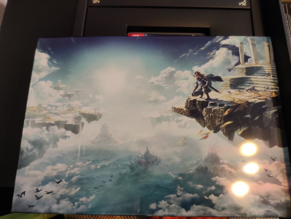 Edições de Colecionador Nintendo Switch / Wiii U