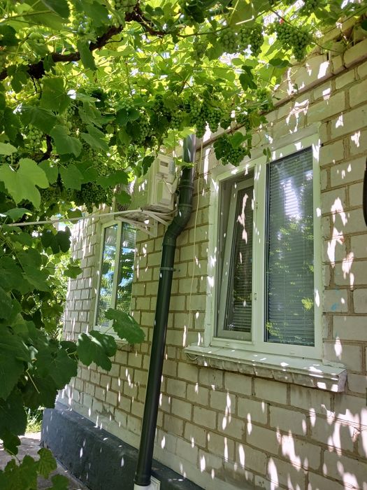 СТ "Протон". Дача для комфортного проживання та відпочинку