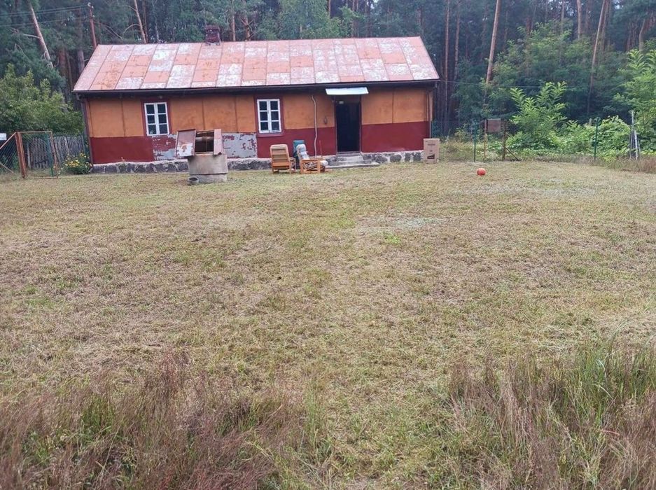 Sprzedam siedlisko Damianów