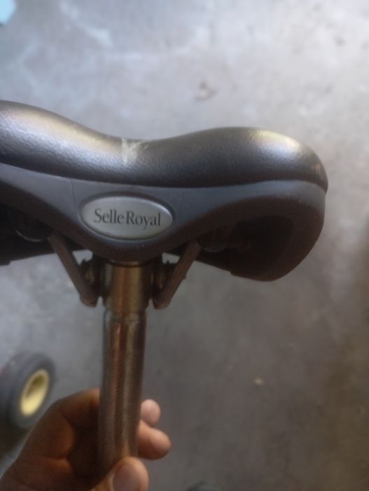 Assentos de bicicleta