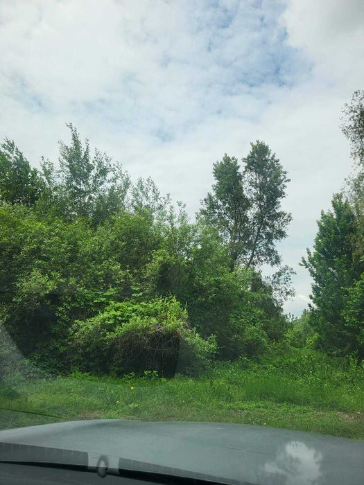 ТЕРМІНОВО!! Продаж земельної ділянки під забудову Бортничі Кобринської