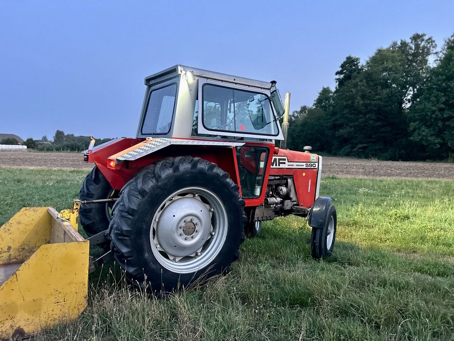 Ciągnik Massey Ferguson 590 2WD 75KM Bardzo dobry stan! Zarejestrowany!