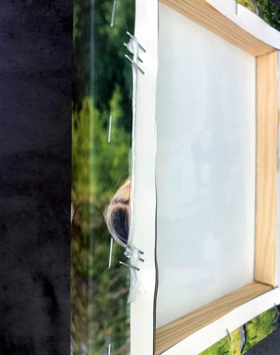 Замовляй Фото на холсті від 160грн. КАРТИНА НА ЗАВТРА Фото на полотні