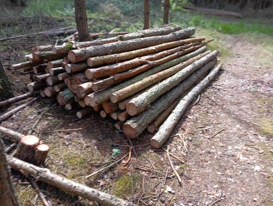 NOWE Stemple budowlane drewniane