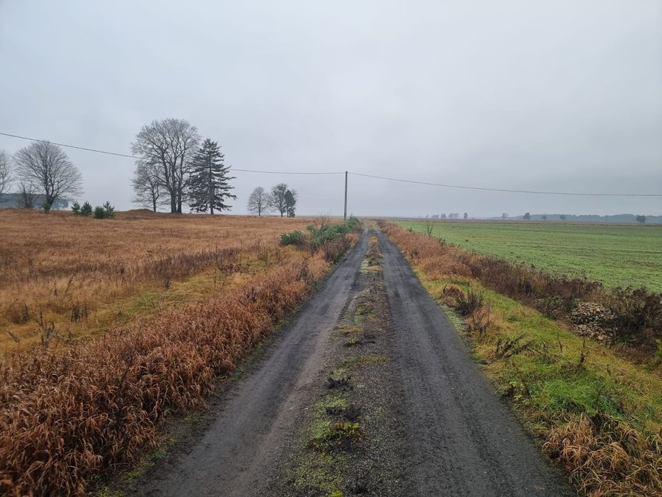 Wydzierżawię grunt rolny