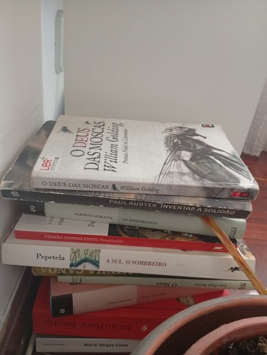 Livros em português e inglês