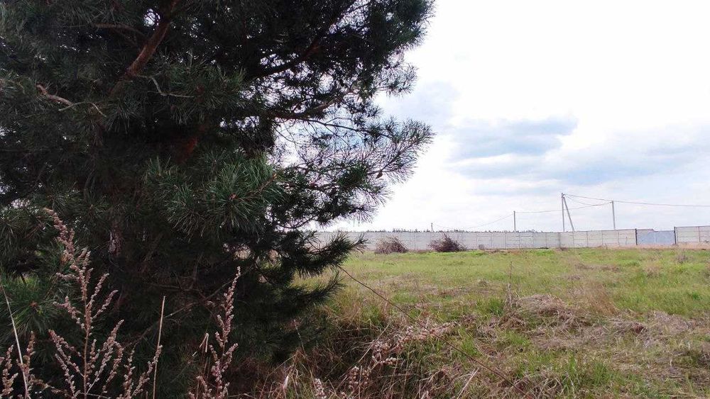 Найкраща пропозиція в с. Лебедівка!