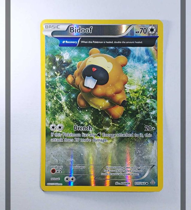 Bidoof 117/160 PRC Reverse Holo Pokemon ENG-NM