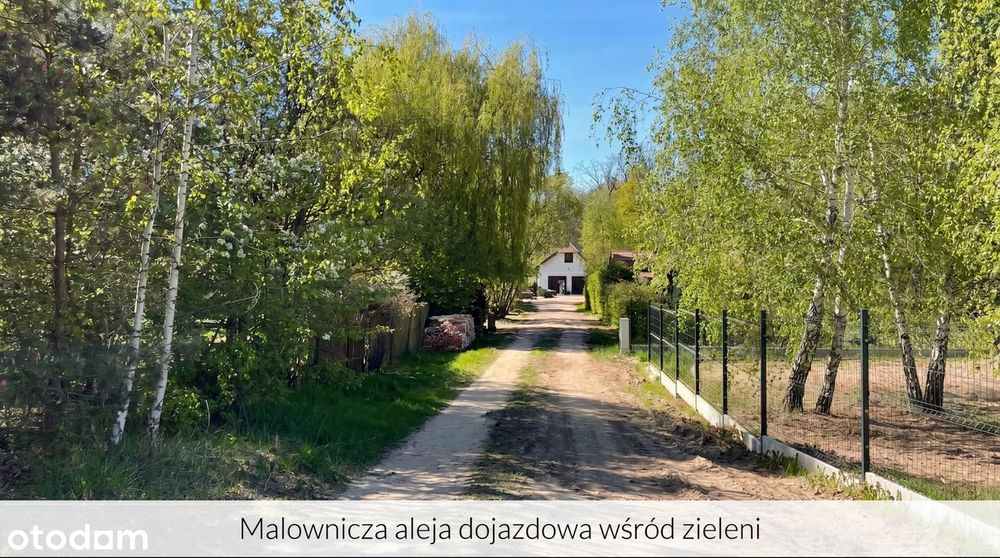 399k do 15.07! Rezydencjonalne 3273 m² | Grzebienisko | Las - Widok 2