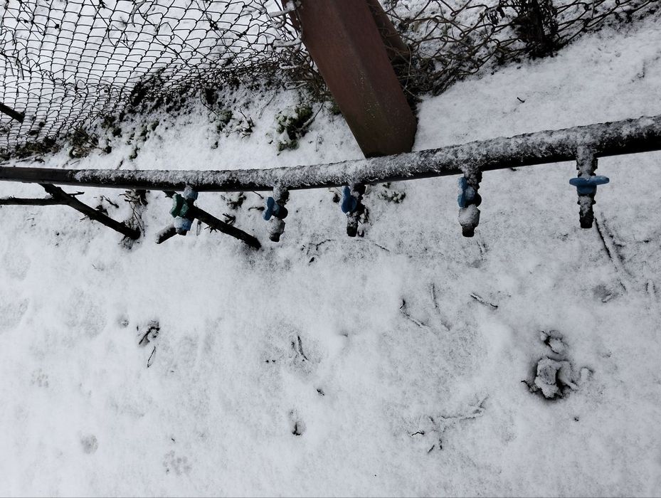 Бочка для краплинного поливу 300 л + труба з краниками 30 м