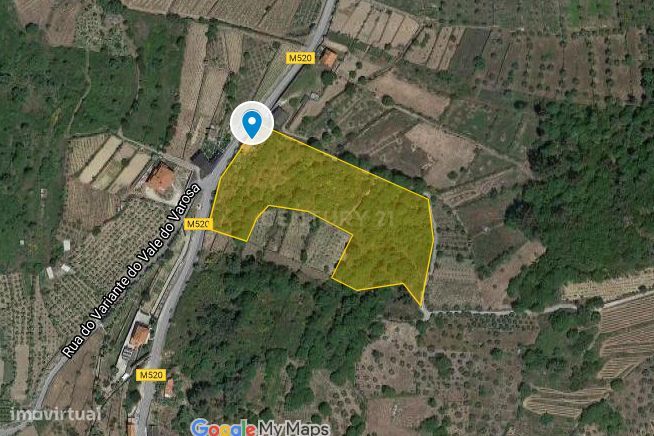 Moradia para restauro e Terreno- Ucanha-Tarouca