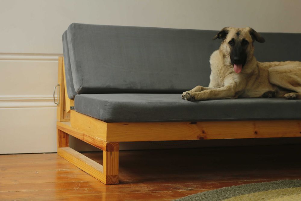 sofá cama sururu.furniture