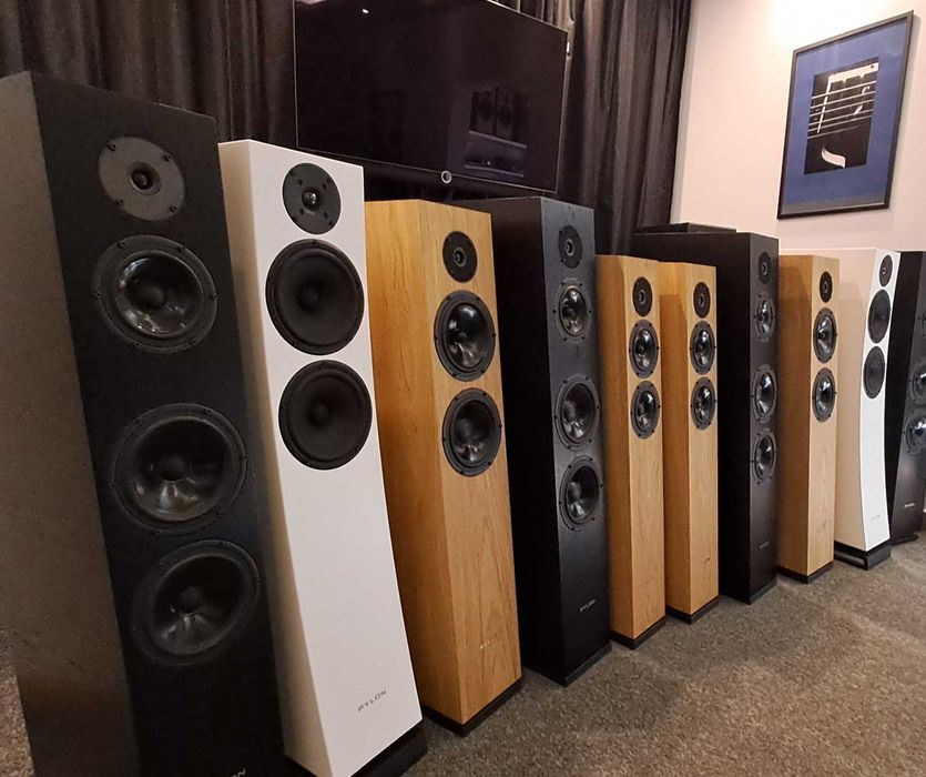 Pylon Audio Diamond 30 | autoryzowany sklep WROCŁAW