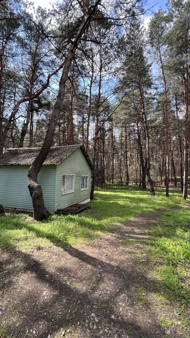 База відпочинку «Дніпро» в Обухівці