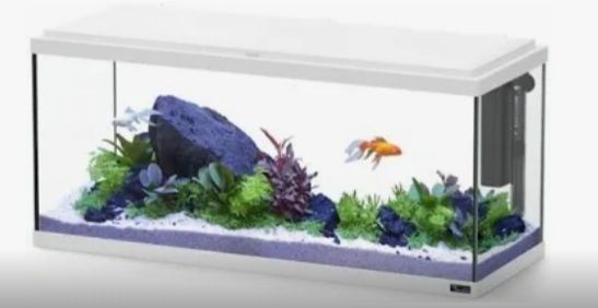 Aquarios para peixes
