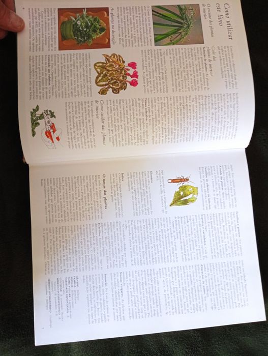 O Grande Livro das Plantas de Interior. Reader’s Digest. 1ª ed - 1982