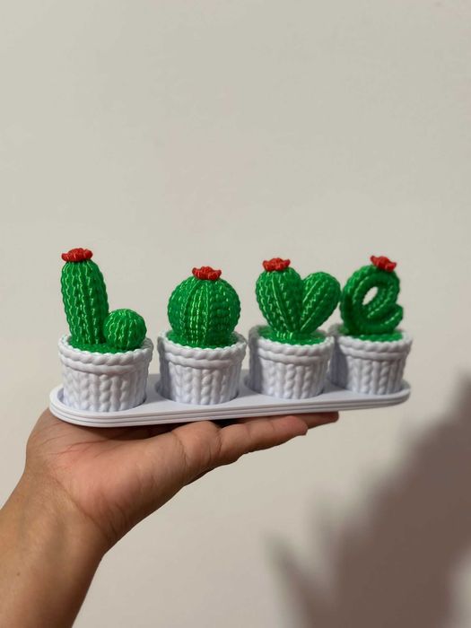 decoração Cacto love