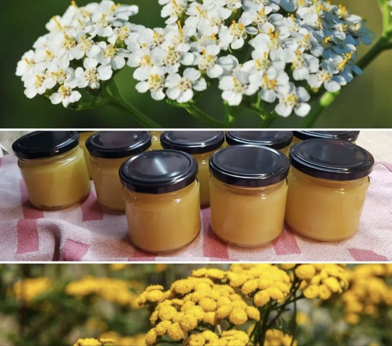 Świeża maść lecznicza 200 ml wosk pszczeli -macerat wrotycz krwawnik