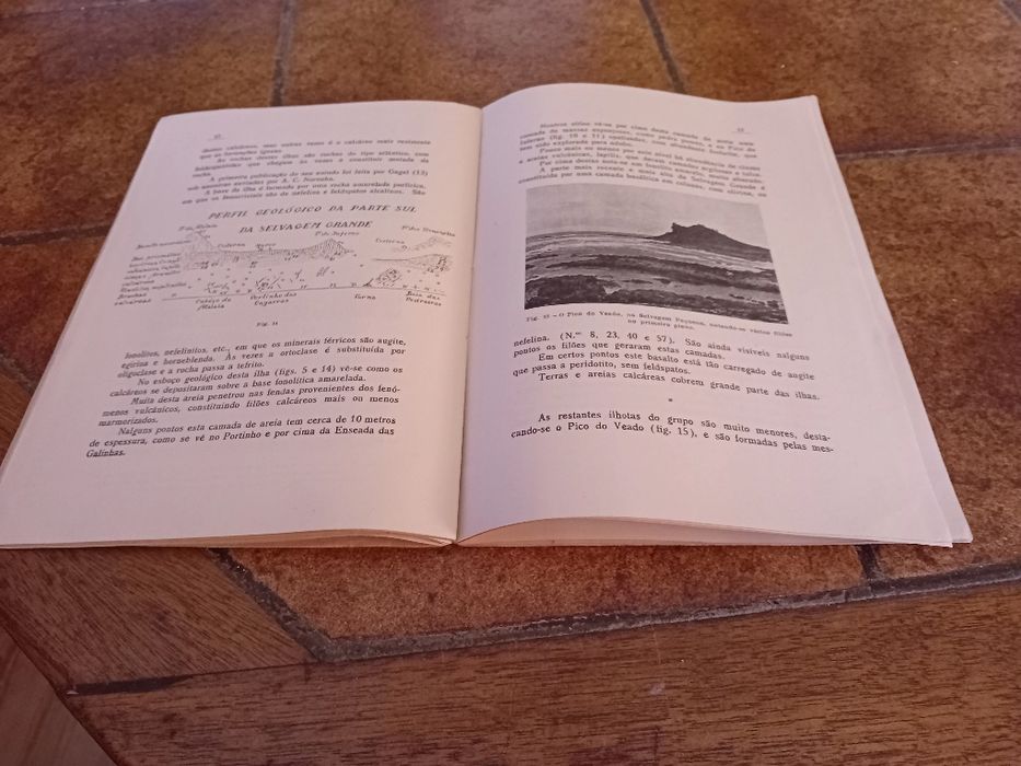 J. Custódio de Morais + Jerónimo dias leite, Madeira + ilhas selvagens