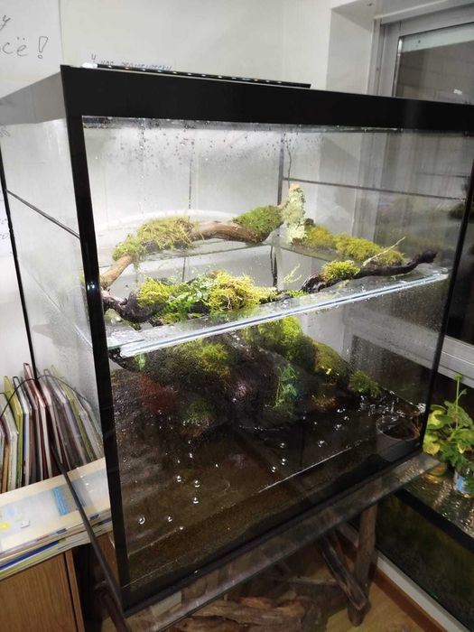 Vendemos aquário - paludário, nova opção!