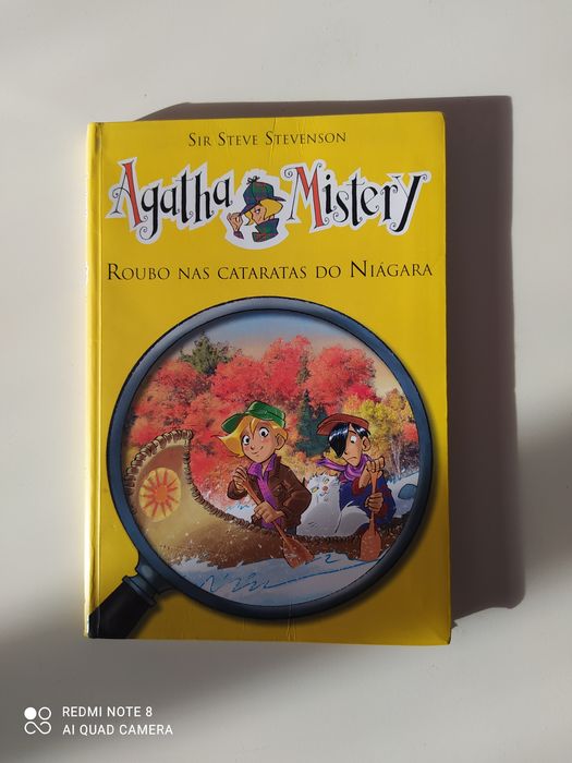 Livro "Roubo nas cataratas do Niágara"