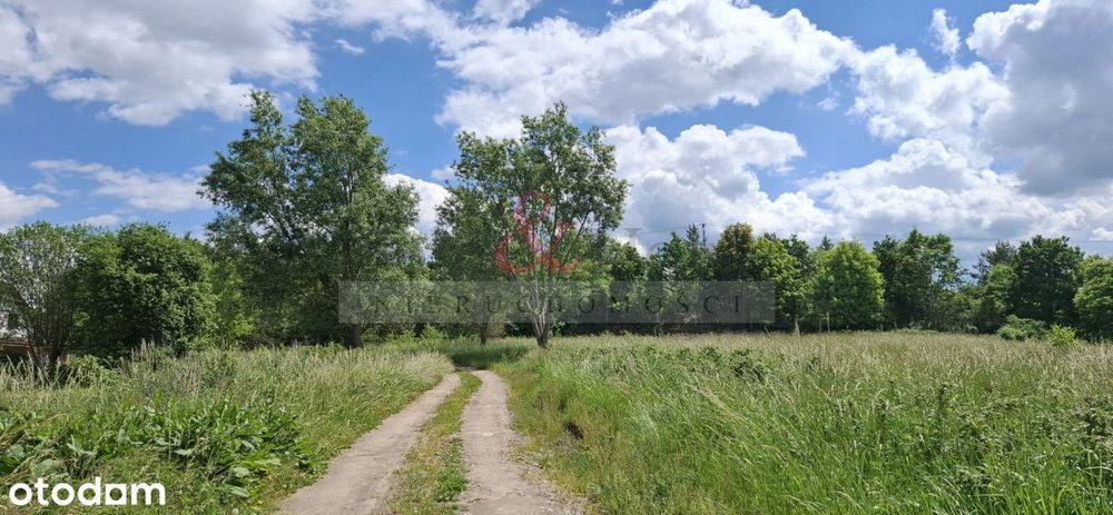 Wyjątkowa oferta – dwie działki w Kłodawie 4890 m² - Widok 3