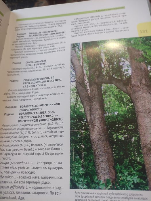 Продам книгу Ліси Донеччини