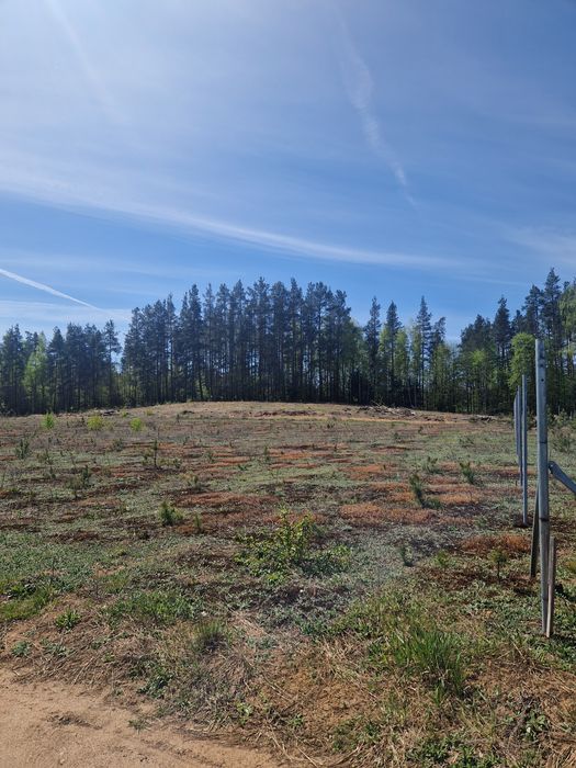 Działka na sprzedaż - Szczebra