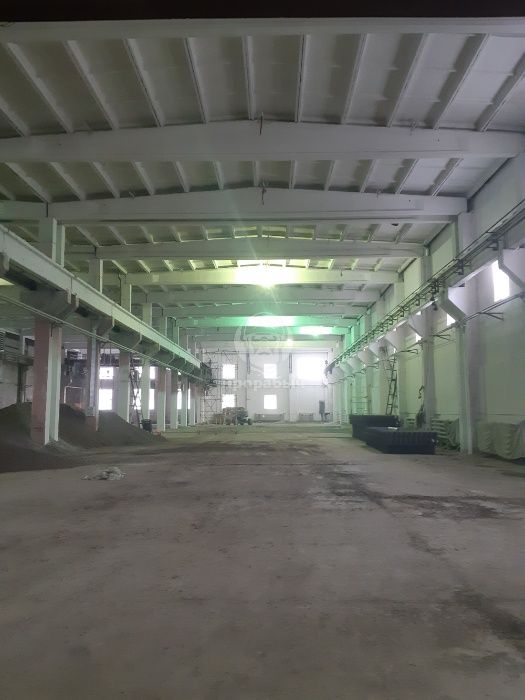 Чистка и покраска брущатки, тротуарной плитки. Чистка и покраска крыш