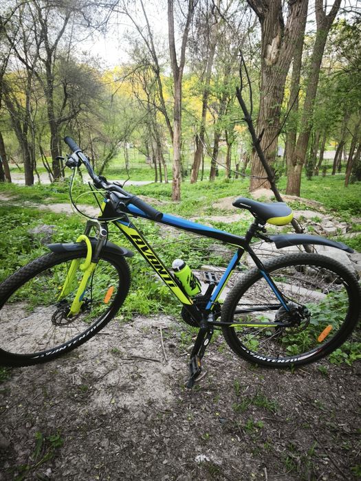 Велосипед аванті