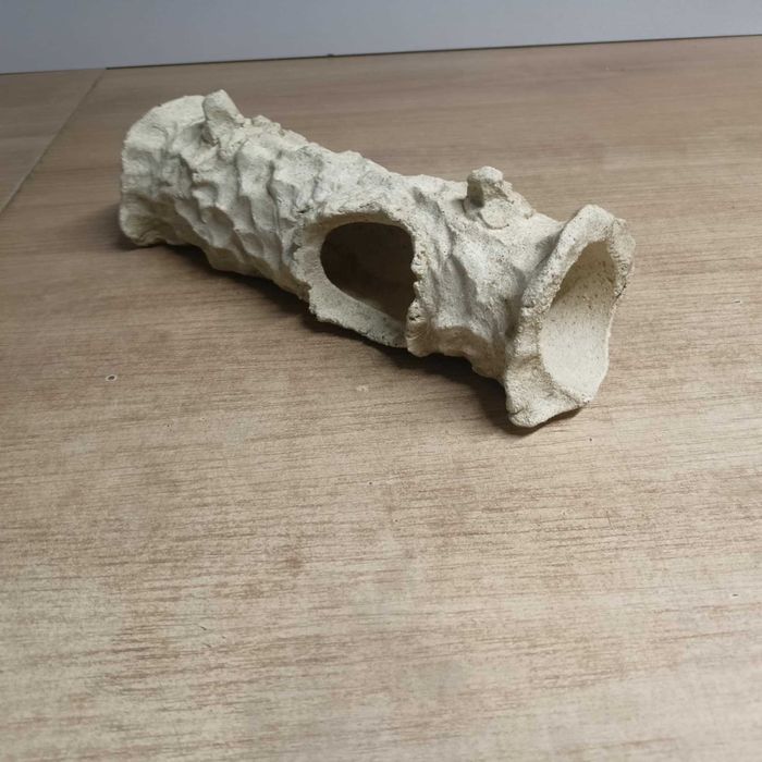 Grota maximus do akwarium