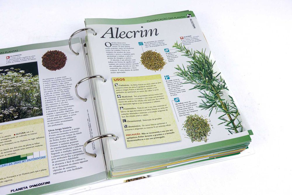 Livro Os Segredos das Plantas