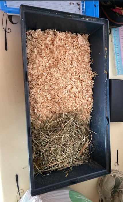 Gaiola completa com adereços para roedor