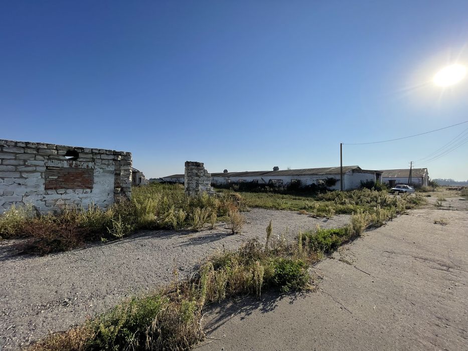 Молочно товарна ферма