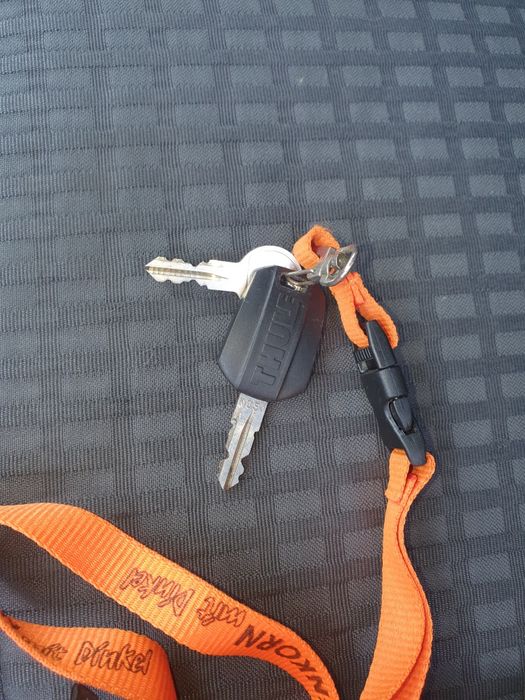 Jeden bagażnk  rowerowy  na dach thule sweden