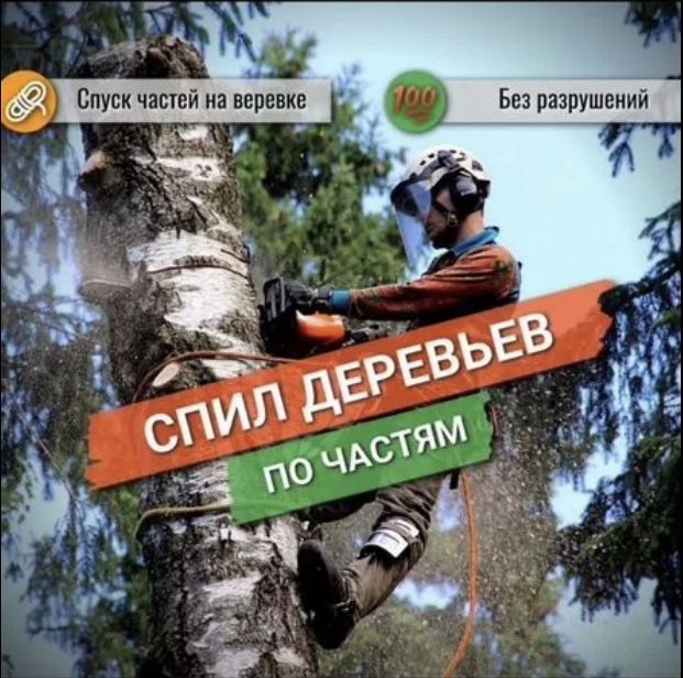 Спил деревьев любой сложности дешево !