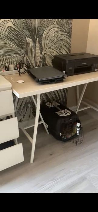 Biurko IKEA nogi LERBERG + blat LINNMON 120x60 białe