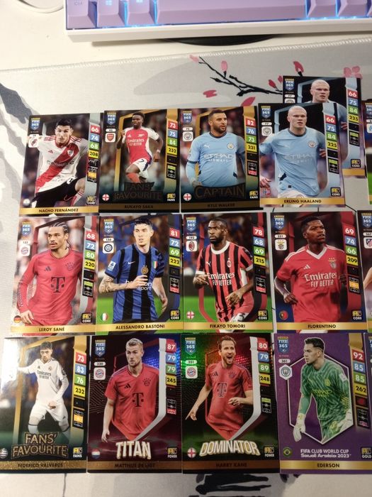 Karty piłkarskie FIFA 365 r2025