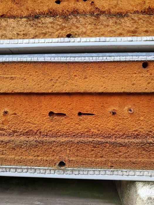 Chapas Painel sandwich