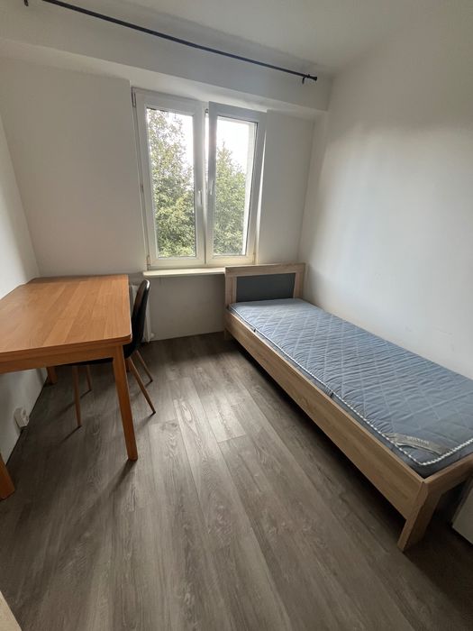pokój do wynajęcia Ostrołęka ul. Madalińskiego