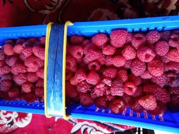 Świeże soczki z owoców