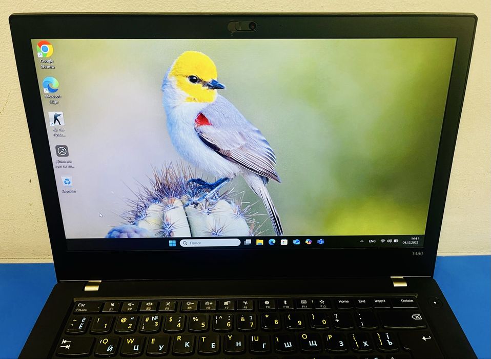 Ноутбук Lenovo ThinkPad T480
