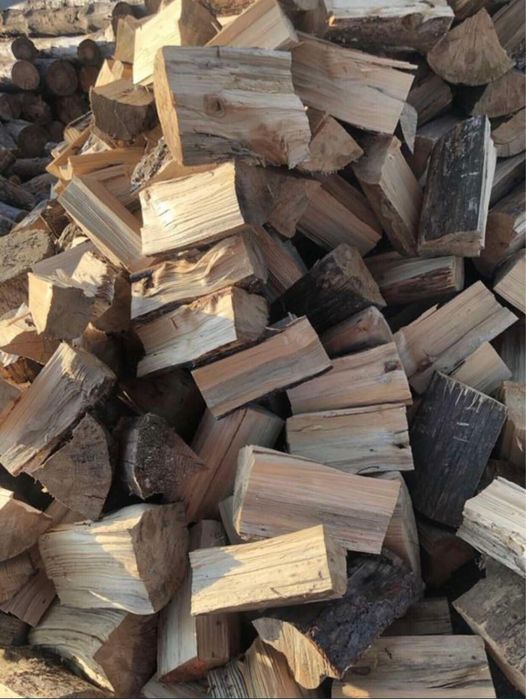 Drewno opałowe sosna