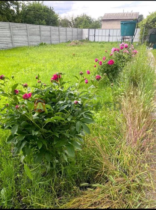 У продажі будинок. СТ сосновый бір