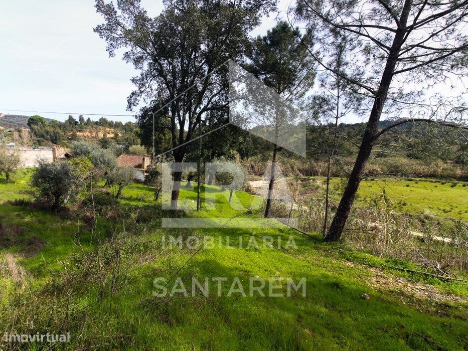 Terreno com cerca de 1 Hectare