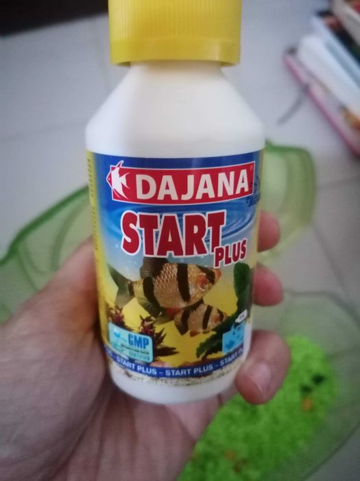 Aquário para peixes Betta