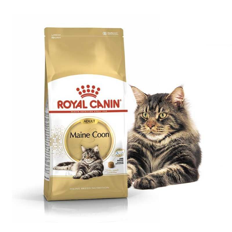 Royal Canin Maine Coon Adult 10кг Роял Мейн-Кун Адалт Сухой корм: 3 519 ...