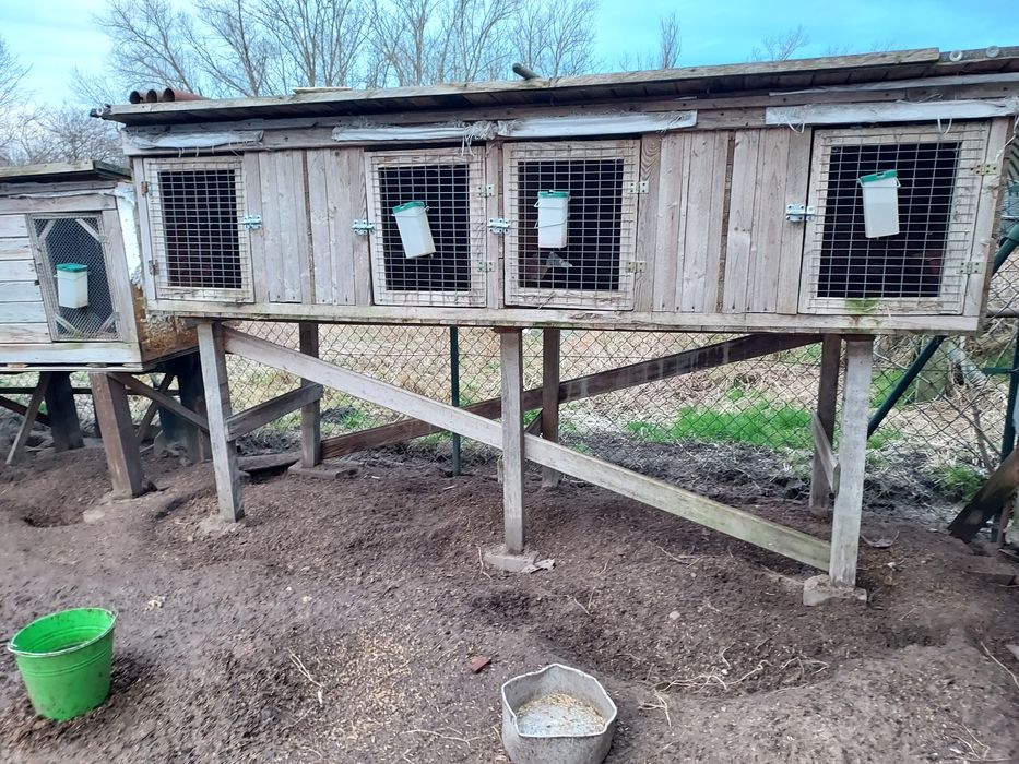 Klatki dla królików