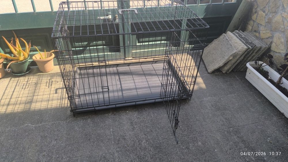 Caixa de transporte de cão