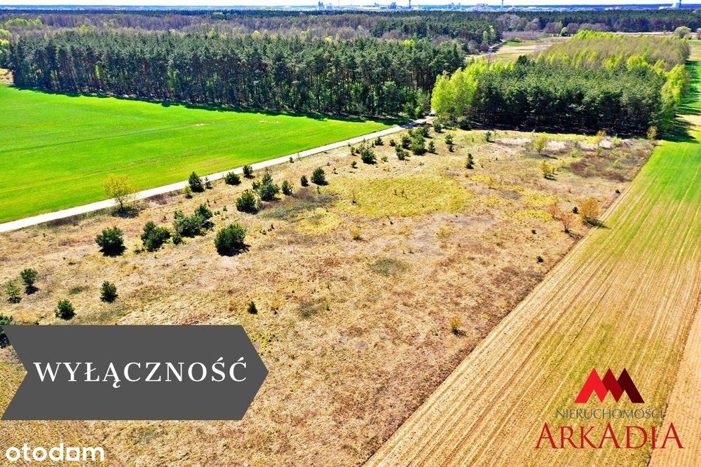 5 działek /Winduga/Gm. Bobrowniki /WZ